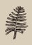 Rustic forest woodcut of folkart fern in simple silhouette style vector motif. Grungy icon for natural botany element