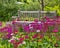 Rustic garden bench