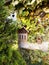Rustic Garden Clock Surrounded By Ivy And Birdhouse/Insect House