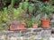 Rustic garden wall with terracotta pots