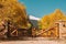 Rustic gate made of logs on unpaved road