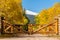 Rustic gate made of logs on unpaved road