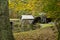 Rustic gristmill in Fall season