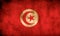 Rustic, Grunge Tunisia Flag