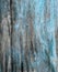Rustic hardboard texture with blue peeled paint.