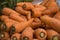 Rustic heirloom farm carrots for sale
