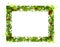 Rustic Holly Leaves Christmas Frame 2