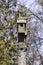 Rustic homemade birdhouse on top of a tall tree stump, pine tree