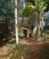 rustic house in the middle of the trees in the rainforest on a hot sunny da