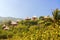 Rustic Huts in the Jungle