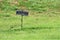 Rustic Keep Out sign in grass next to faux barbed wire