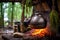 rustic kettle hanging over a fire with herbs in the background
