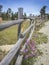 Rustic Log Fence