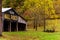 Rustic Mail Pouch Tobacco Barn - Farmstead - Autumn / Fall Colors