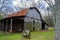 Rustic Old Barn in the Woods â€“ Virginia, USA