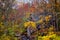 Rustic old building next to creek, surrounded by fall foliage