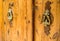 Rustic old elegant wood front door with ornated door knockers