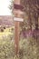 Rustic, old-fashioned handmade blank simple arrow wood signs on a wooden pole with wildflowers and rural background in