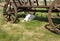 Rustic Old Horse Drawn Wagon with two young goats resting in his shadow