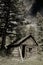 Rustic old prospectors cabin in the remote mountains of Idaho