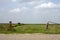 Rustic open gate is overgrown with weeds, blue sky with clouds