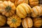 Rustic Orange Pumpkins Bunch Background