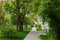 Rustic park outdoor city square walking area outdoor environment space small promenade trail surrounded by green foliage trees