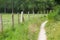 Rustic pathway to walk through fields, meadows and woods