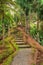 Rustic pathway winding uphill through trees