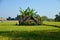 Rustic patio pavilion in the middle of paddy field.