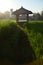 Rustic patio pavilion in the middle of paddy field.