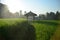 Rustic patio pavilion in the middle of paddy field.