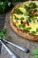 Rustic pie with broccoli and sun-dried tomatoes, quiche