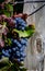 Rustic post with purple grapes