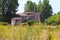 Rustic residential ruin abandoned in a green landscape in a Tuscan field