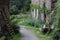 Rustic rural scene, Brittany, France