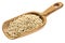 Rustic scoop of sorghum grain