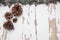 A rustic setting with pine cones, a wooden surface and the plant ceropegia woodi