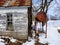 Rustic shed by fuel barrel.