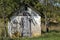 Rustic Shed in Summer