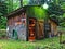 Rustic shed in woods