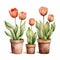 Rustic Southwest Tulip Watercolor Illustration With Terracotta Pots