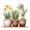 Rustic Southwest Watercolor Illustration Of Three Potted Plants