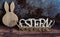 Rustic standing wooden letters with the inscription - Easter on a wooden background. Easter concept