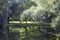 Rustic summer landscape. Lake, gazebo, forest