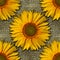 Rustic sunflower on canvas rough surface. Seamless pattern