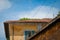 Rustic tile roof and stucco exterior in Pisa, Italy