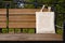 Rustic tote bag on the garden bench mockup