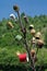 Rustic tradition in Maramures, landmark attraction in Romania - pot peg. Tree pots