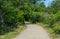Rustic trail through lush greenery in Massachusetts